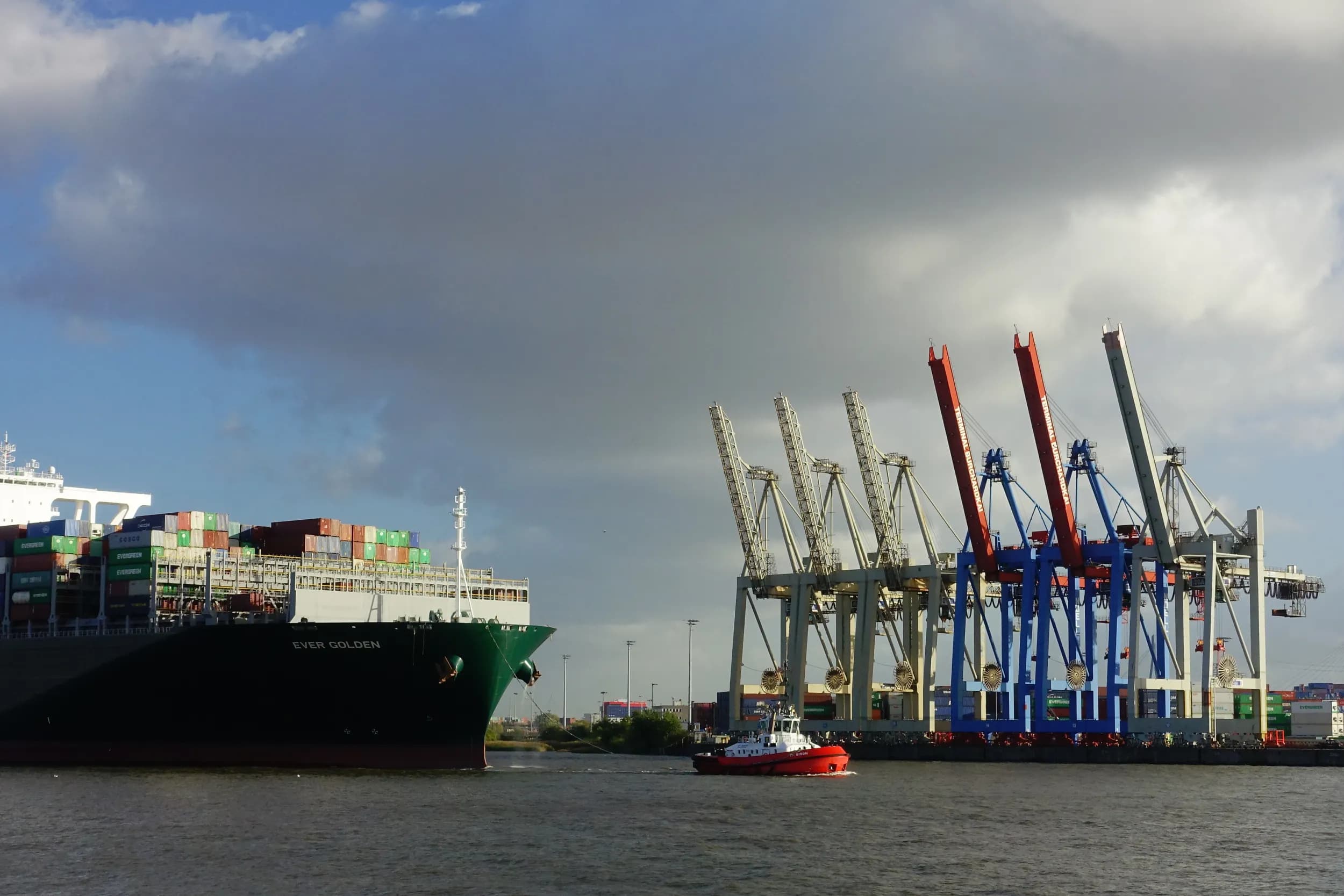 Trading & Import/Export